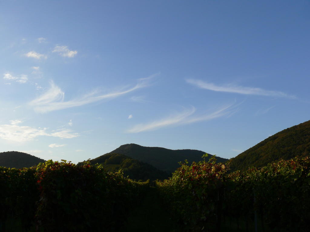 Landhotel Sonnenhof Siebeldingen ภายนอก รูปภาพ